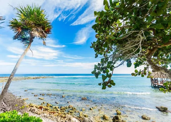 Oceanview Pools Walk To & Snorkel
